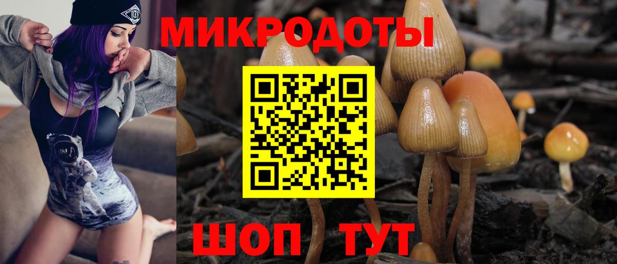 Галлюциногенные грибы Cubensis  Вход с VPN  Новый Уренгой 